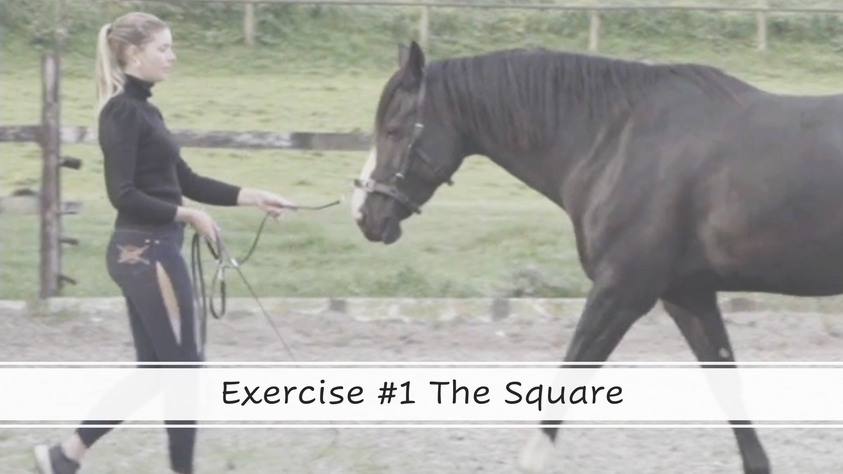 Basic Exercise #1 Vertical Balance